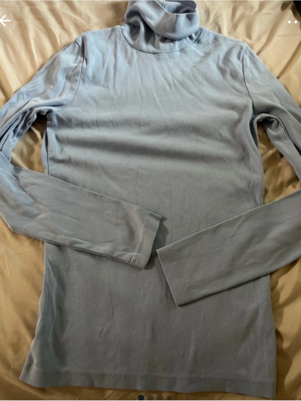 Light Blue/purplish womens Turtleneck Long-Sleeve Shirt
